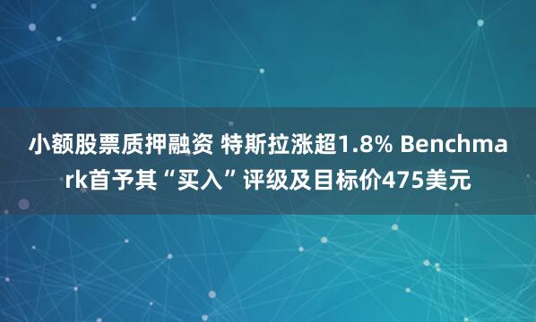小额股票质押融资 特斯拉涨超1.8% Benchmark首予其“买入”评级及目标价475美元