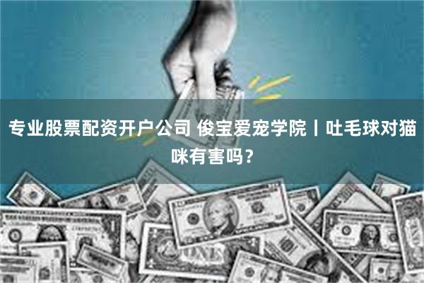专业股票配资开户公司 俊宝爱宠学院丨吐毛球对猫咪有害吗？