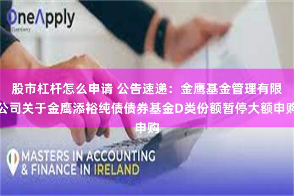 股市杠杆怎么申请 公告速递：金鹰基金管理有限公司关于金鹰添裕纯债债券基金D类份额暂停大额申购
