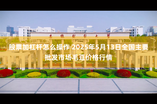 股票加杠杆怎么操作 2025年5月13日全国主要批发市场毛豆价格行情