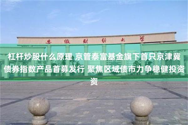 杠杆炒股什么原理 京管泰富基金旗下首只京津冀债券指数产品首募发行 聚焦区域债市力争稳健投资
