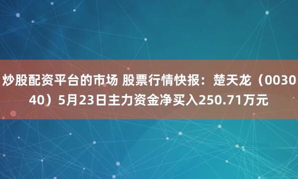 炒股配资平台的市场 股票行情快报：楚天龙（003040）5月23日主力资金净买入250.71万元