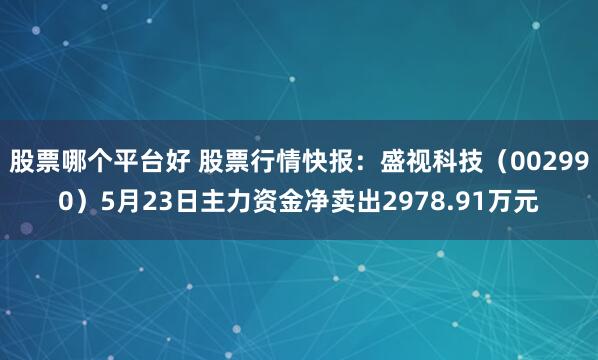 股票哪个平台好 股票行情快报：盛视科技（002990）5月23日主力资金净卖出2978.91万元