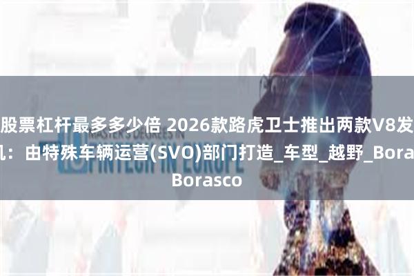 股票杠杆最多多少倍 2026款路虎卫士推出两款V8发动机：由特殊车辆运营(SVO)部门打造_车型_越野_Borasco
