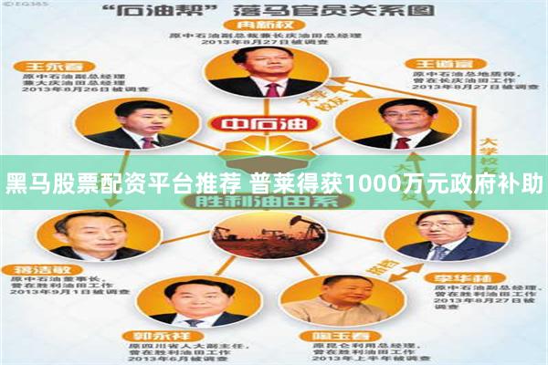 黑马股票配资平台推荐 普莱得获1000万元政府补助