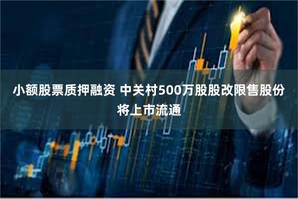 小额股票质押融资 中关村500万股股改限售股份将上市流通