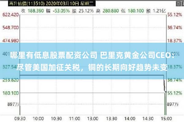 哪里有低息股票配资公司 巴里克黄金公司CEO：尽管美国加征关税，铜的长期向好趋势未变