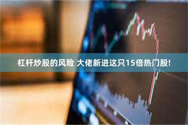 杠杆炒股的风险 大佬新进这只15倍热门股!