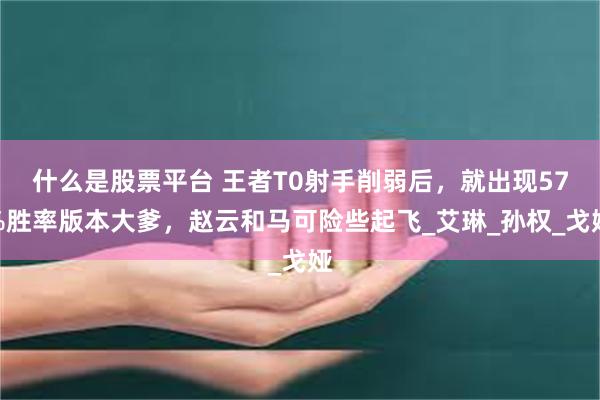 什么是股票平台 王者T0射手削弱后，就出现57%胜率版本大爹，赵云和马可险些起飞_艾琳_孙权_戈娅