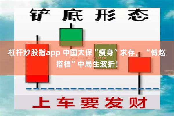 杠杆炒股指app 中国太保“瘦身”求存， “傅赵搭档”中局生波折！