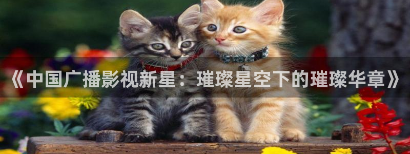 八戒八戒电影免费观看