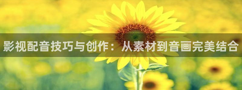 6080八戒影视