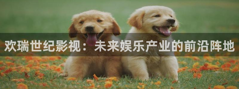 八戒,八戒电影在线看免费观看
