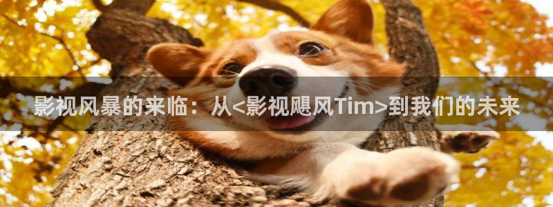 八戒影院在