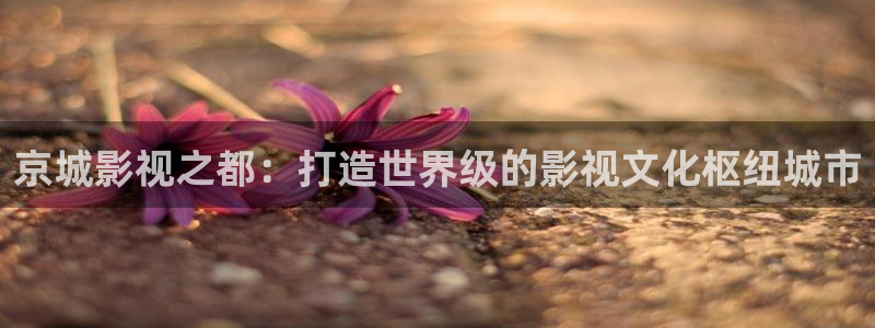 八戒八戒电影观看