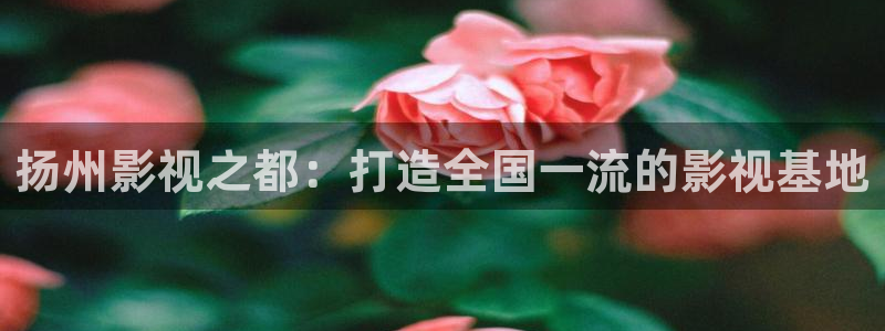 八戒午夜久久影院